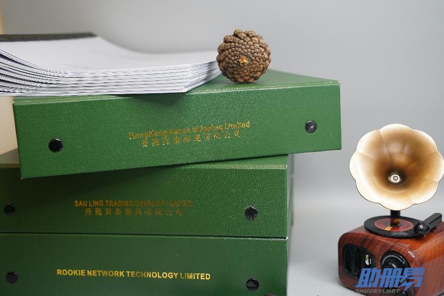 從準(zhǔn)備到提交，詳析香港公司年審全流程！