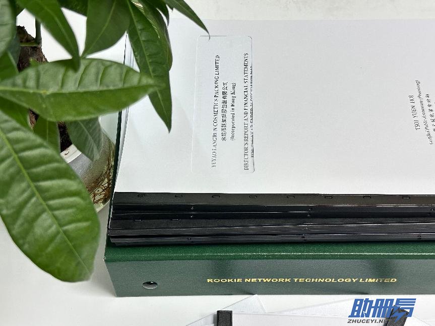 香港公司年審：自行辦理與委托辦理的優(yōu)劣對比！