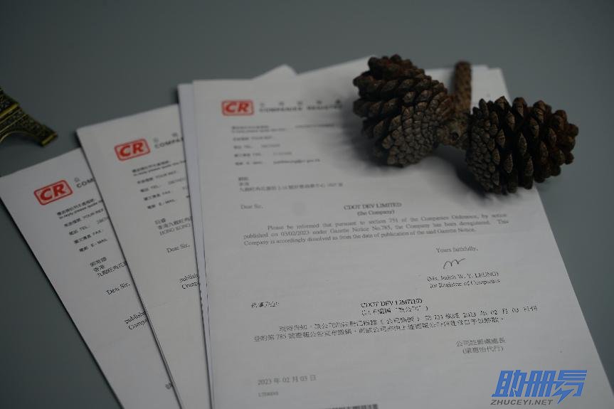 2024香港公司年審所需資料、年審內(nèi)容及逾期后果！