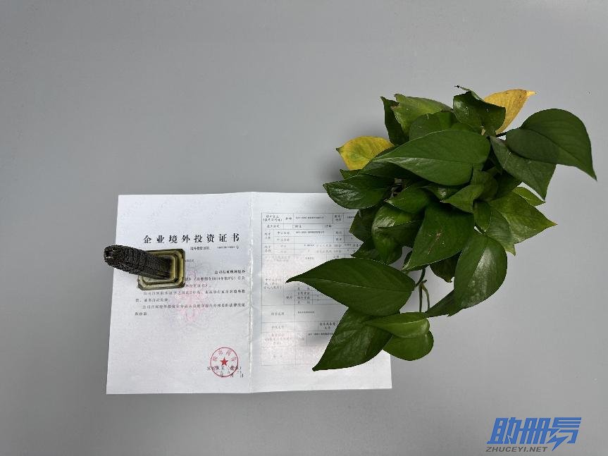 學(xué)會這3招，保你找到滿意的香港秘書公司！